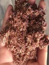凯时尊龙人生就是博·Z6(中国)首页官网